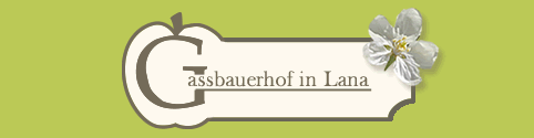 Gassbauerhof - Agriturismo