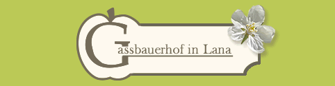 Ferienwohnungen Gassbauerhof